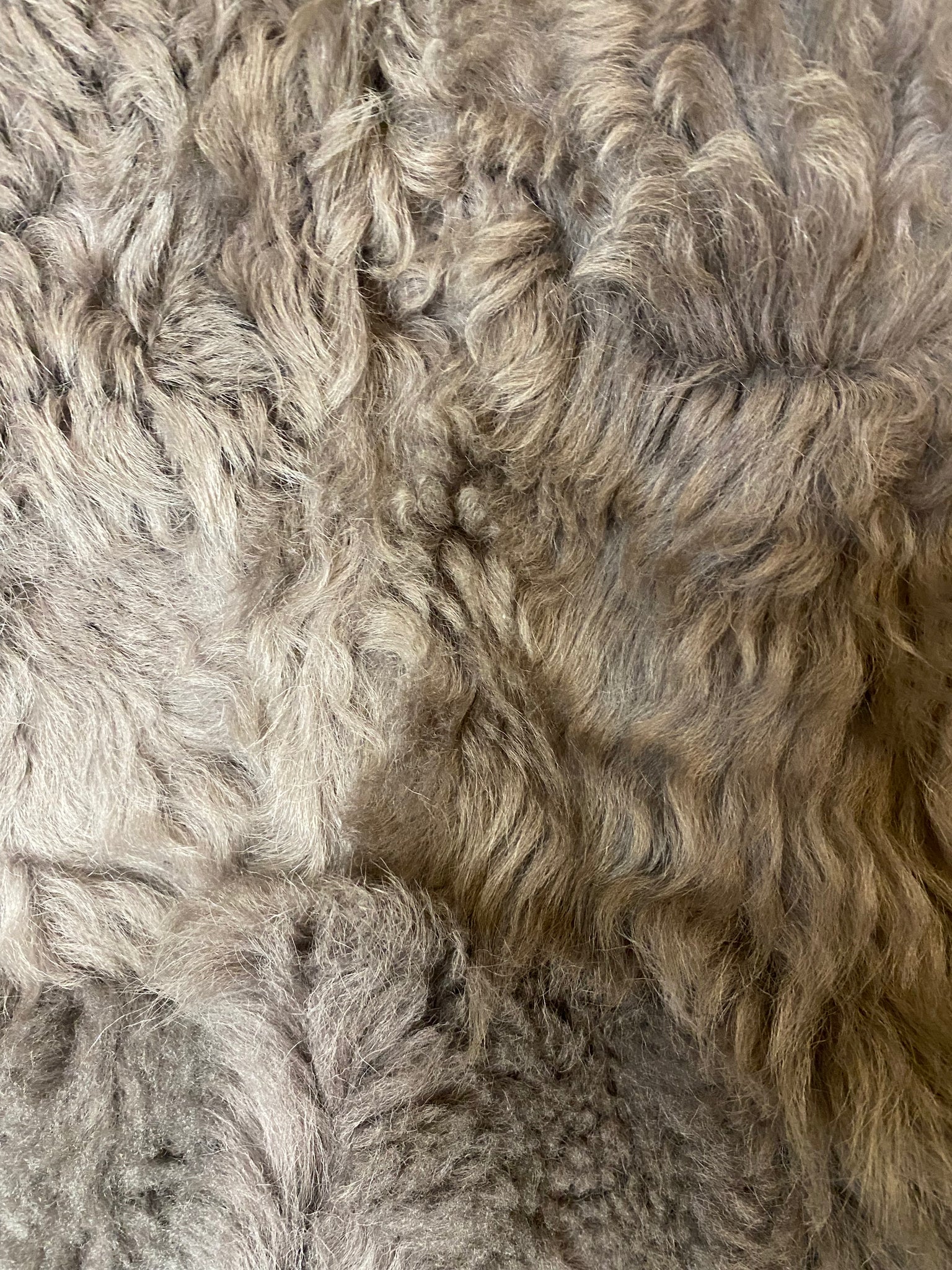 Shearling Collarless Maxi Coat